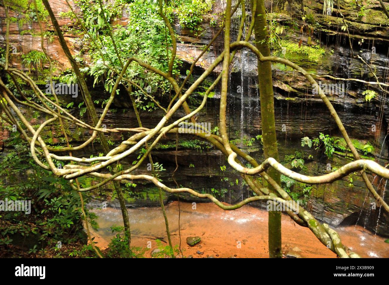 Chapada das Mesas - PI - Brasil Banque D'Images