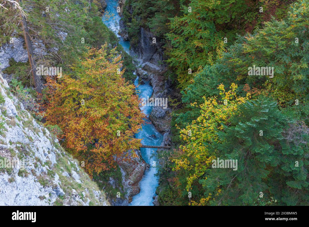 Gorge de Leutaschklamm en automne, Mittenwald, Werdenfelser Land, haute-Bavière, Bavière, Allemagne Banque D'Images