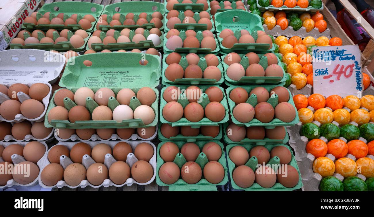 Oeufs frais, oeufs de vesper, oeufs élevés en plein air, carton d'oeufs, marché hebdomadaire, Stuttgart, Bade-Wuerttemberg, Allemagne Banque D'Images Oeufs frais, oeufs de vesper, oeufs élevés en plein air, carton d'oeufs, marché hebdomadaire, Stuttgart, Bade-Wuerttemberg, Allemagne Banque D'Images