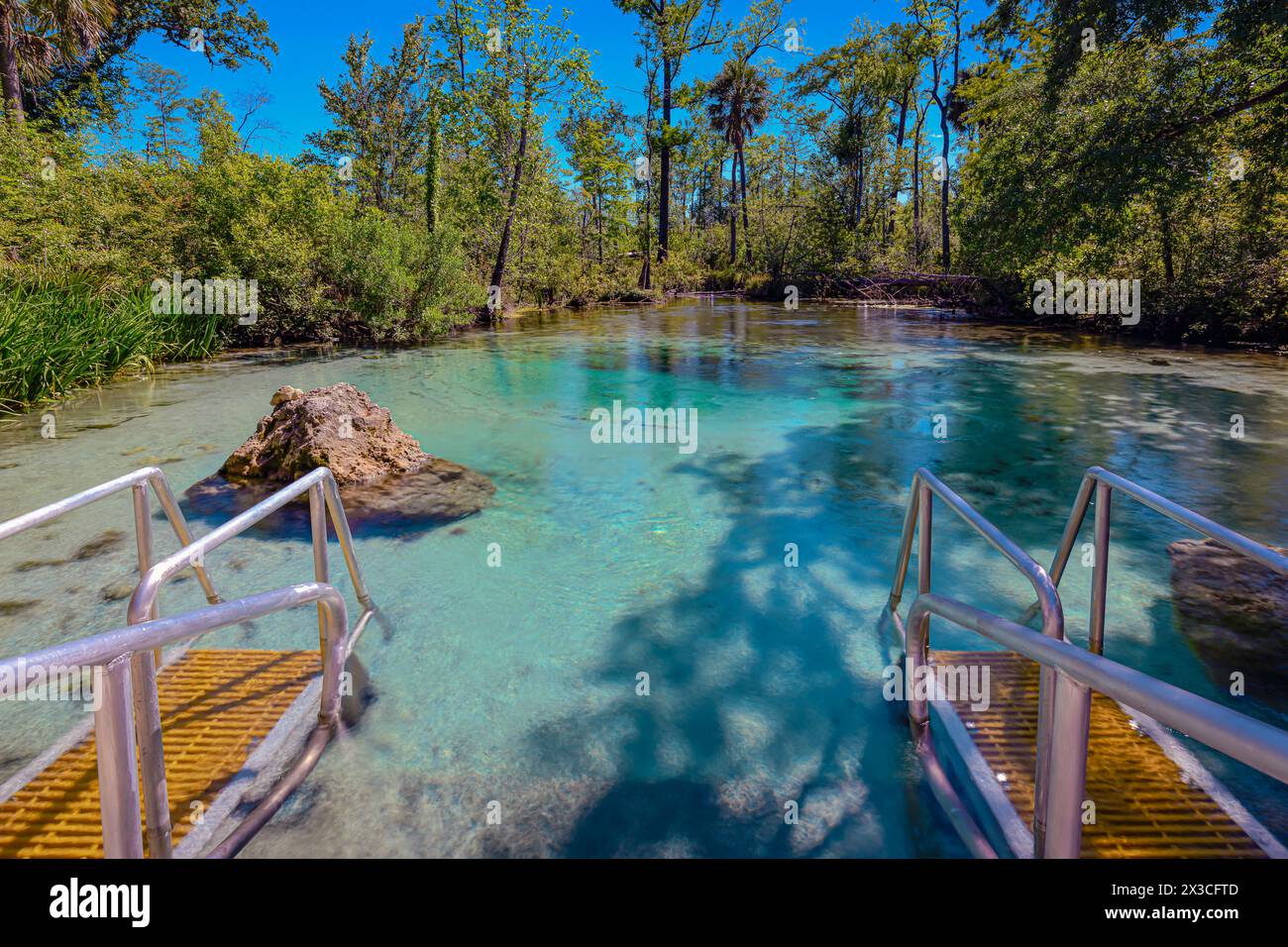 « Crystal Clear Wonder : Williford Springs met en valeur son eau d'eau turquoise étonnamment claire, invitant tous à s'émerveiller devant sa beauté naturelle et sa pureté. » Banque D'Images