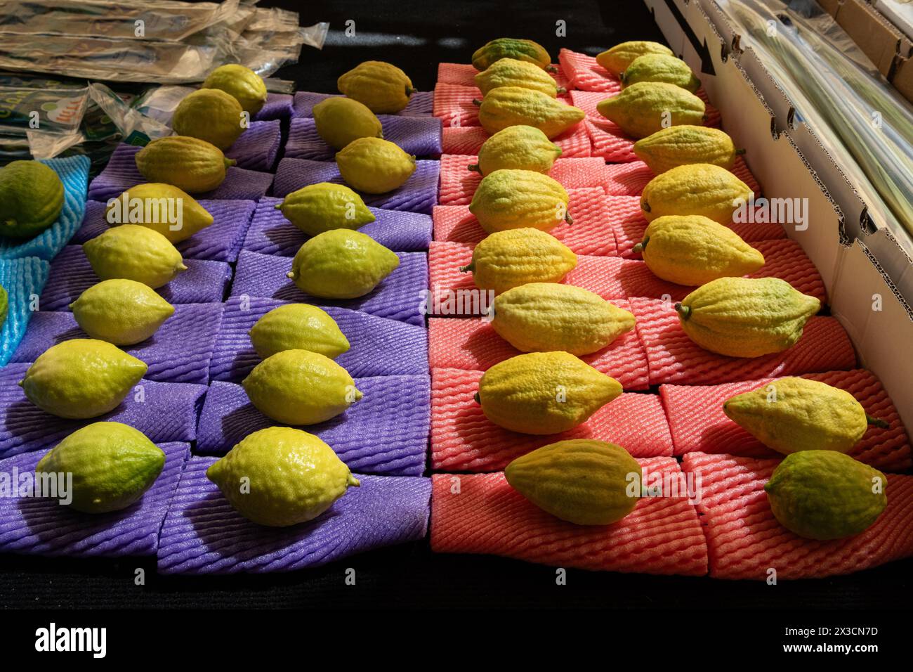Etrogs ou fruits de citron, l'une des quatre espèces de plantes utilisées dans l'observance rituelle de la fête juive de Sukkot, étant vendu dans un Jerusal spécial Banque D'Images