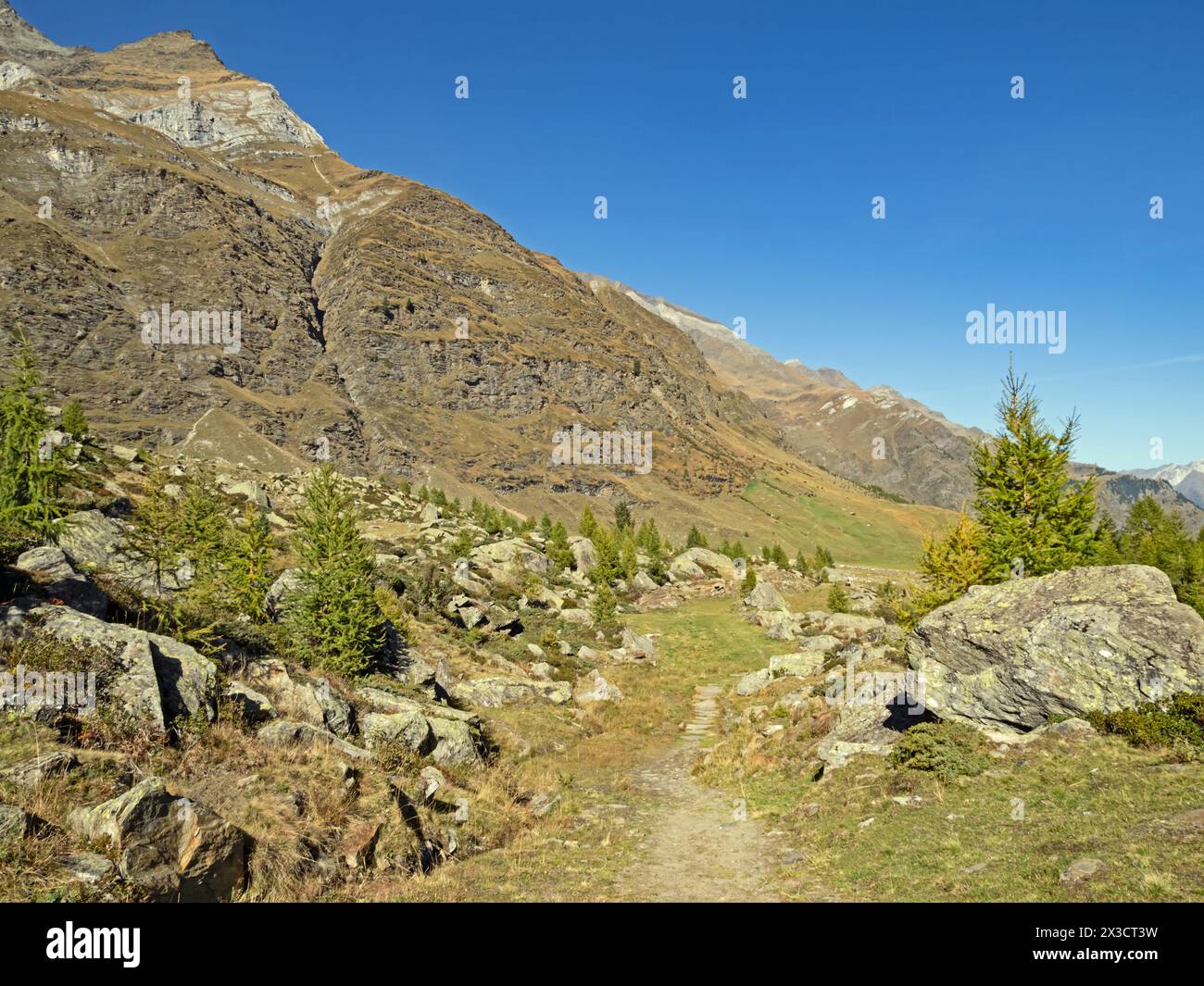 Un sentier de randonnée mène à travers le paysage automnal dans la vallée du Passeier près de Pfelders dans le Parc naturel du Groupe Texel, Tyrol du Sud, Italie Banque D'Images