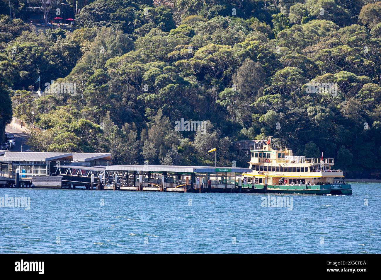 Taronga Zoo ferry Warf sur la rive nord inférieure du port de Sydney, Sydney ferry Scarborough approche du quai, Nouvelle-Galles du Sud, Australie Banque D'Images