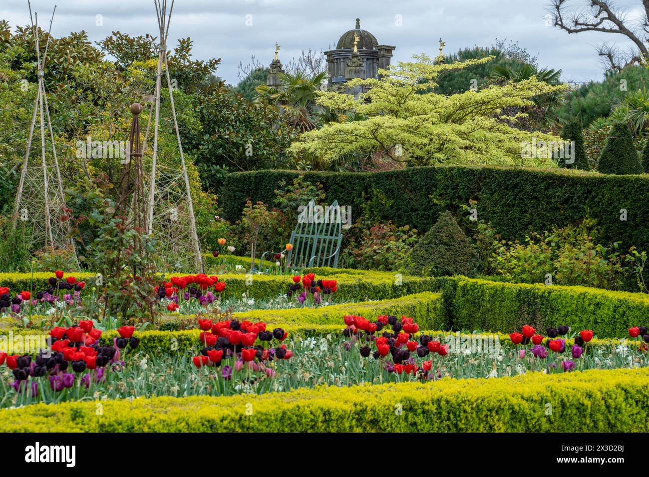 Les jardins du château d'Arundel pendant le festival annuel et très populaire des tulipes Banque D'Images