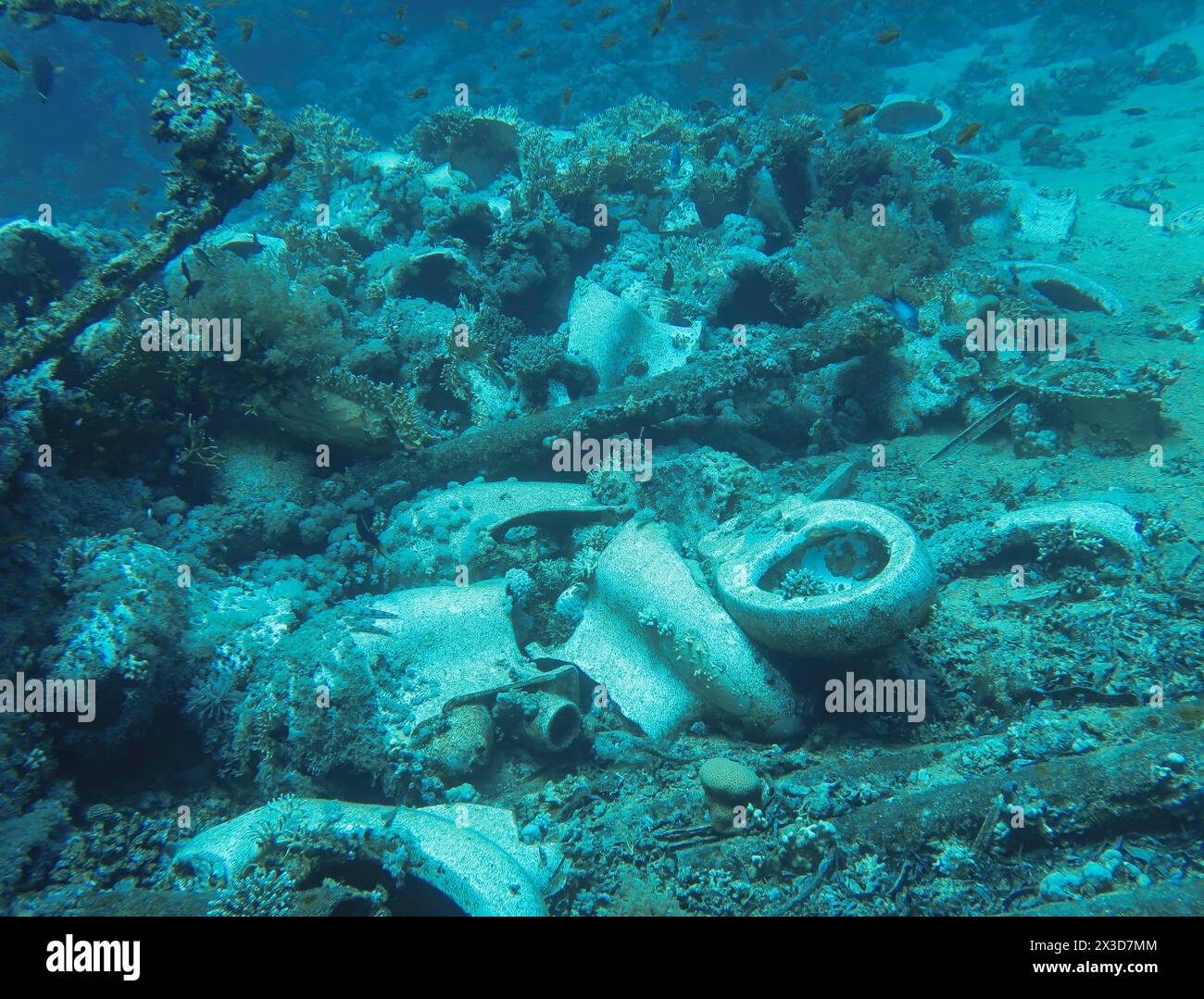 Keramik, Toilettenschüsseln, wrack der Jolanda, Tauchplatz Ras Mohammed Shark et Jolanda Reef, Rotes Meer, Ägypten Banque D'Images