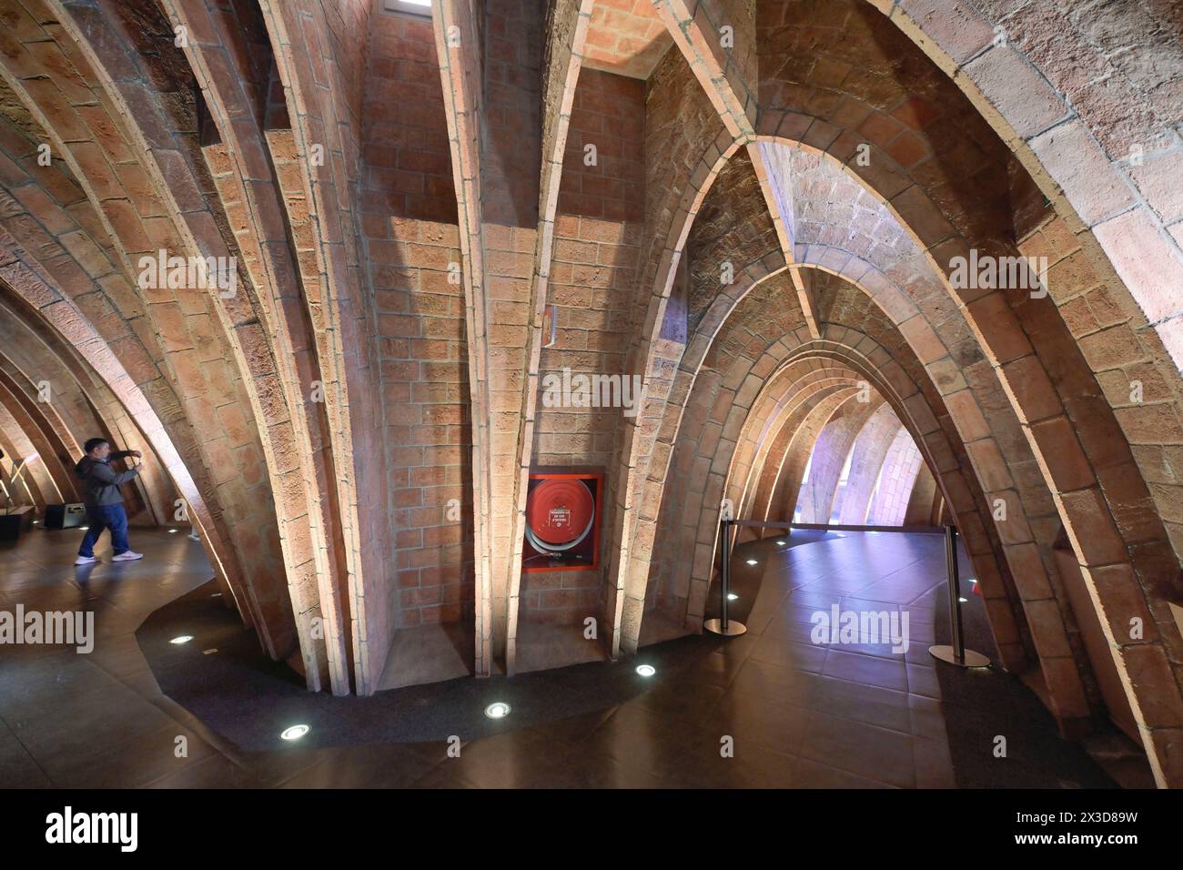 Dachgeschoss, der Wal, la Pedrera, Casa Mila von Antoni Gaudi, Barcelona, Katalonien, Spanien Banque D'Images