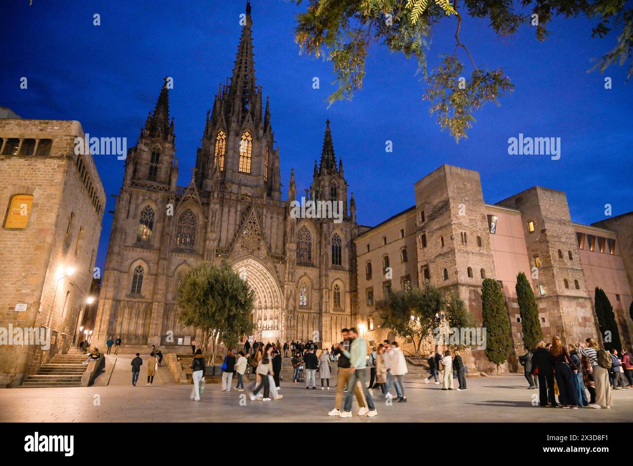 Kathedrale, Catedral de la Santa Creu i Santa Eulalia, Barcelona, Katalonien, Spanien Banque D'Images