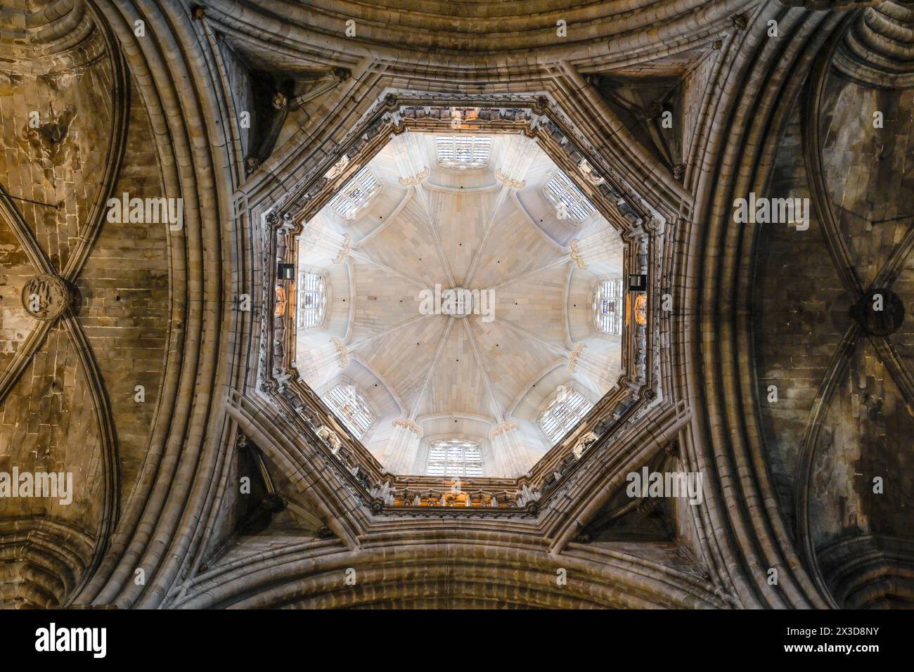 Deckengewölbe im Hauptchor, Kathedrale, Catedral de la Santa Creu i Santa Eulalia, Barcelona, Katalonien, Spanien Banque D'Images