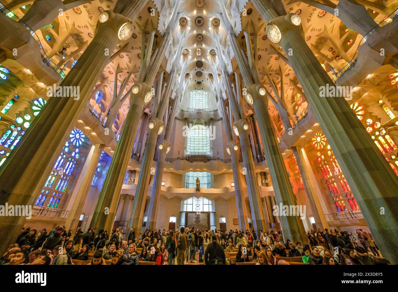 Hauptschiff, Deckengewölbe, Säulen, Sagrada Familia, Basilica von Antoni Gaudi, Barcelona, Katalonien, Spanien Banque D'Images