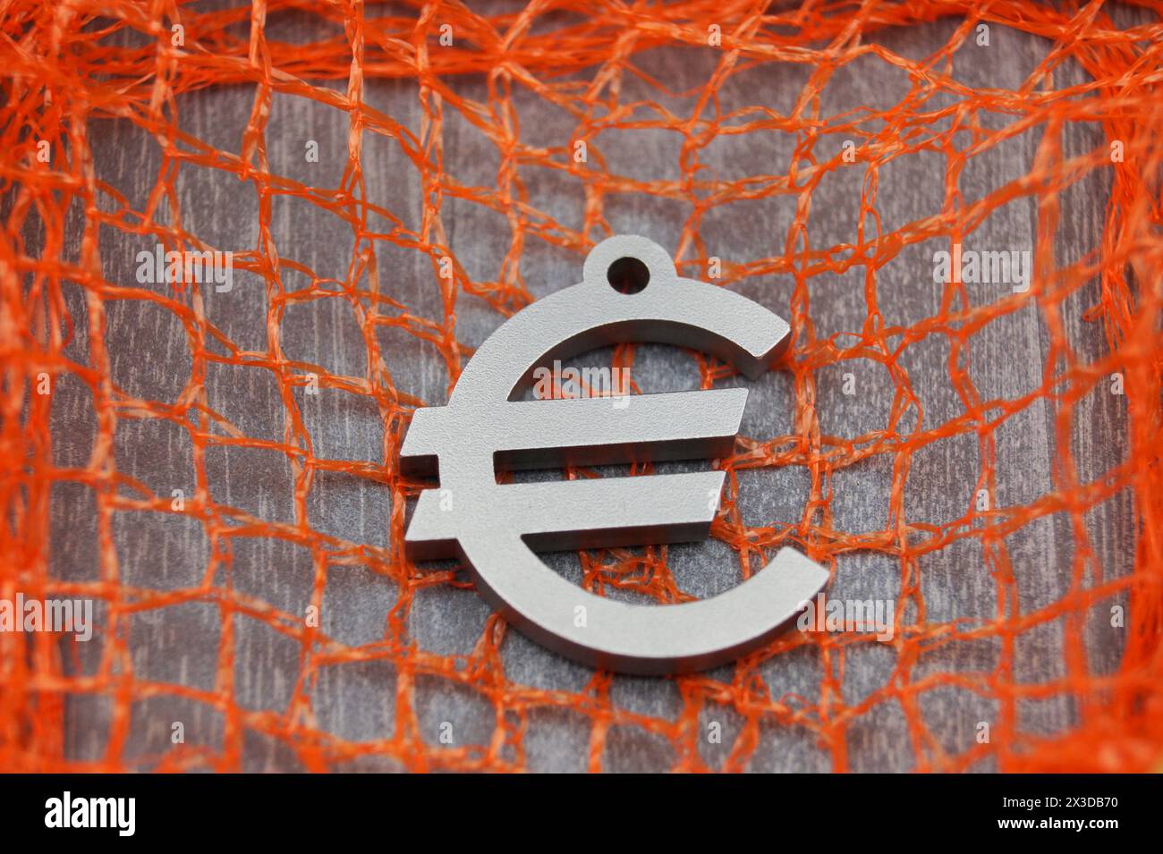 Filet de pêche et signe Euro, symbole du quota de pêche Banque D'Images