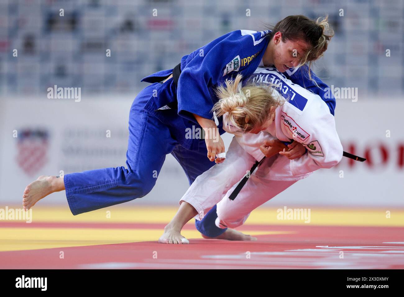 Zagreb, Croatie. 26 avril 2024. Lara Cvjetko, de Croatie (blanche) et Szabina Gercsak, de Hongrie (bleue), participent aux championnats d'Europe de judo féminin -70kg 2024 à l'Arena Zagreb le 26 avril 2024 à Zagreb, Croatie. Photo : Igor Kralj/PIXSELL crédit : Pixsell/Alamy Live News Banque D'Images