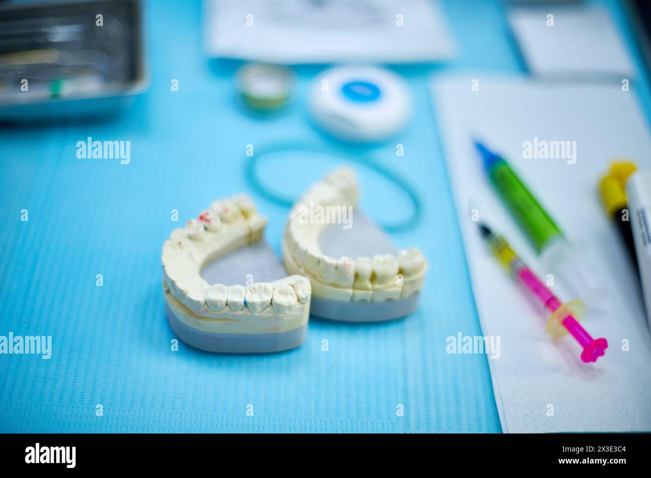 Mâchoires artificielles sur table en cabinet dentaire, focus sur la mâchoire gauche. Banque D'Images