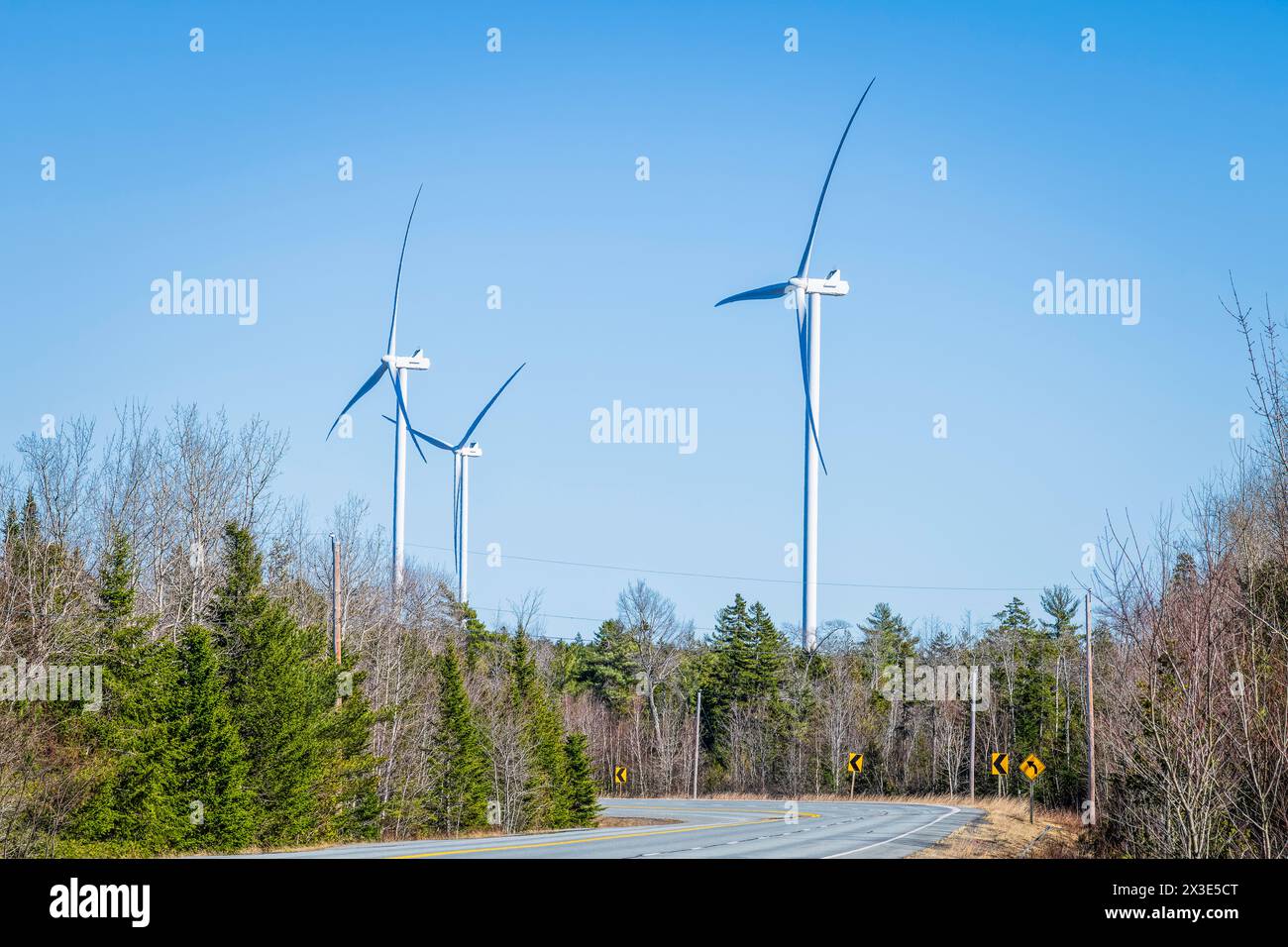Éoliennes dans le Nouveau-Brunswick rural Banque D'Images