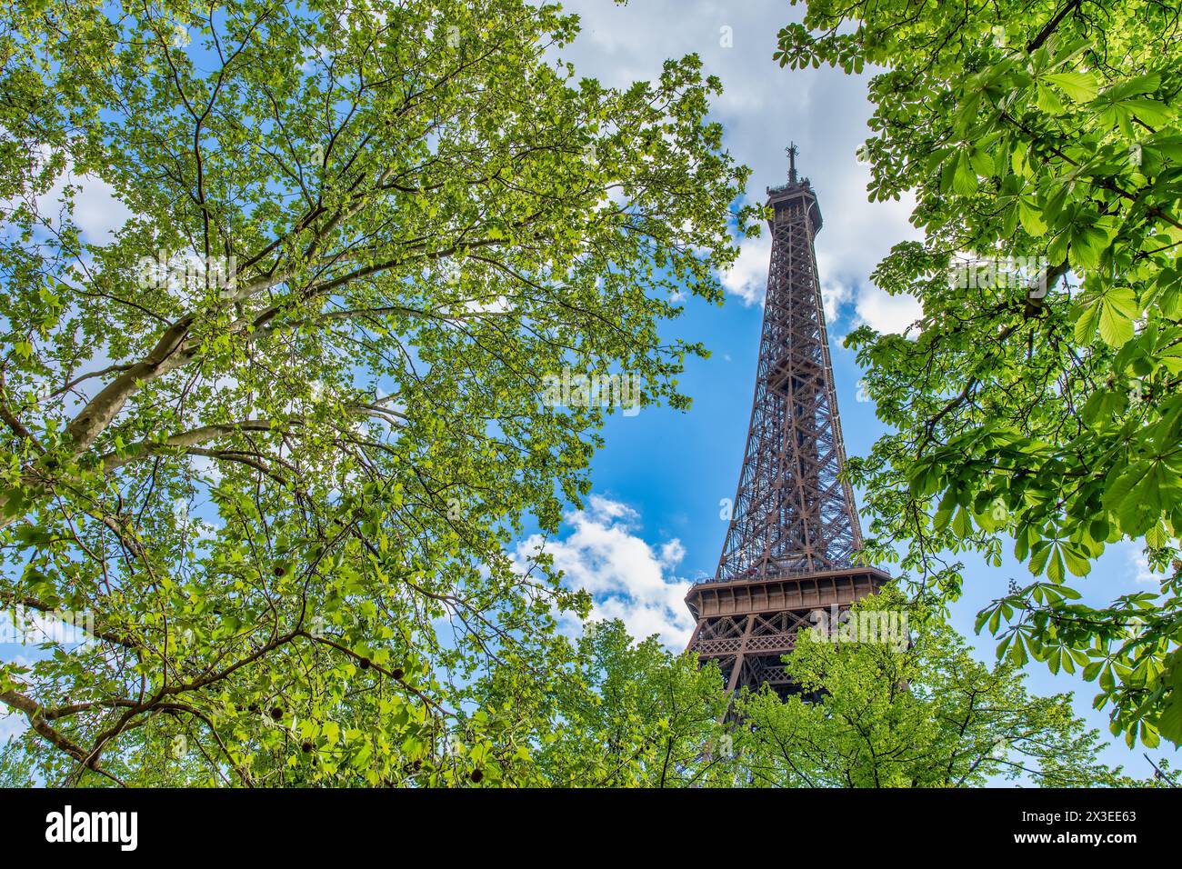 Tour Eiffel jetant un œil à travers le feuillage printanier à Paris par un jour nuageux. Banque D'Images