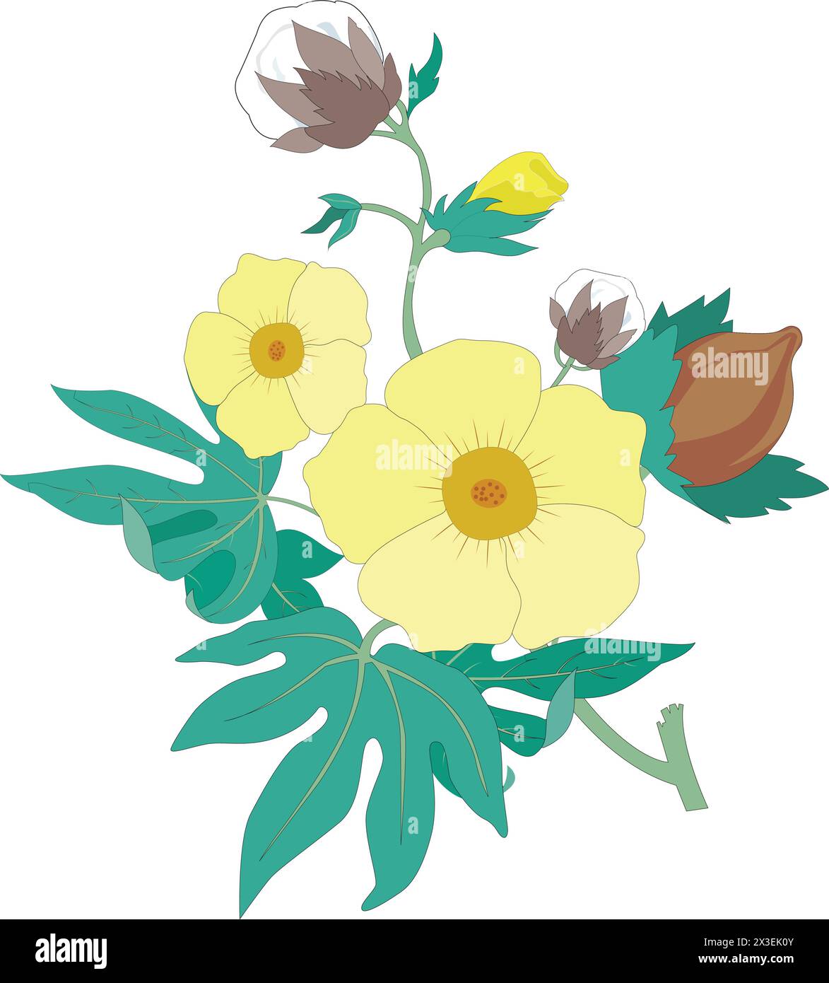 Fleurs en fleurs avec illustration vectorielle de bourgeons Illustration de Vecteur