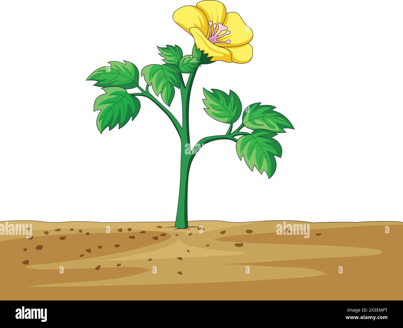 Fleur poussant dans l'illustration vectorielle du sol Illustration de Vecteur