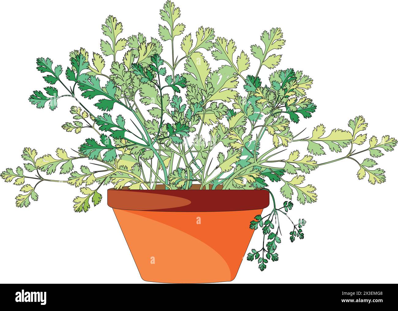 Illustration vectorielle de pot de fleur Illustration de Vecteur