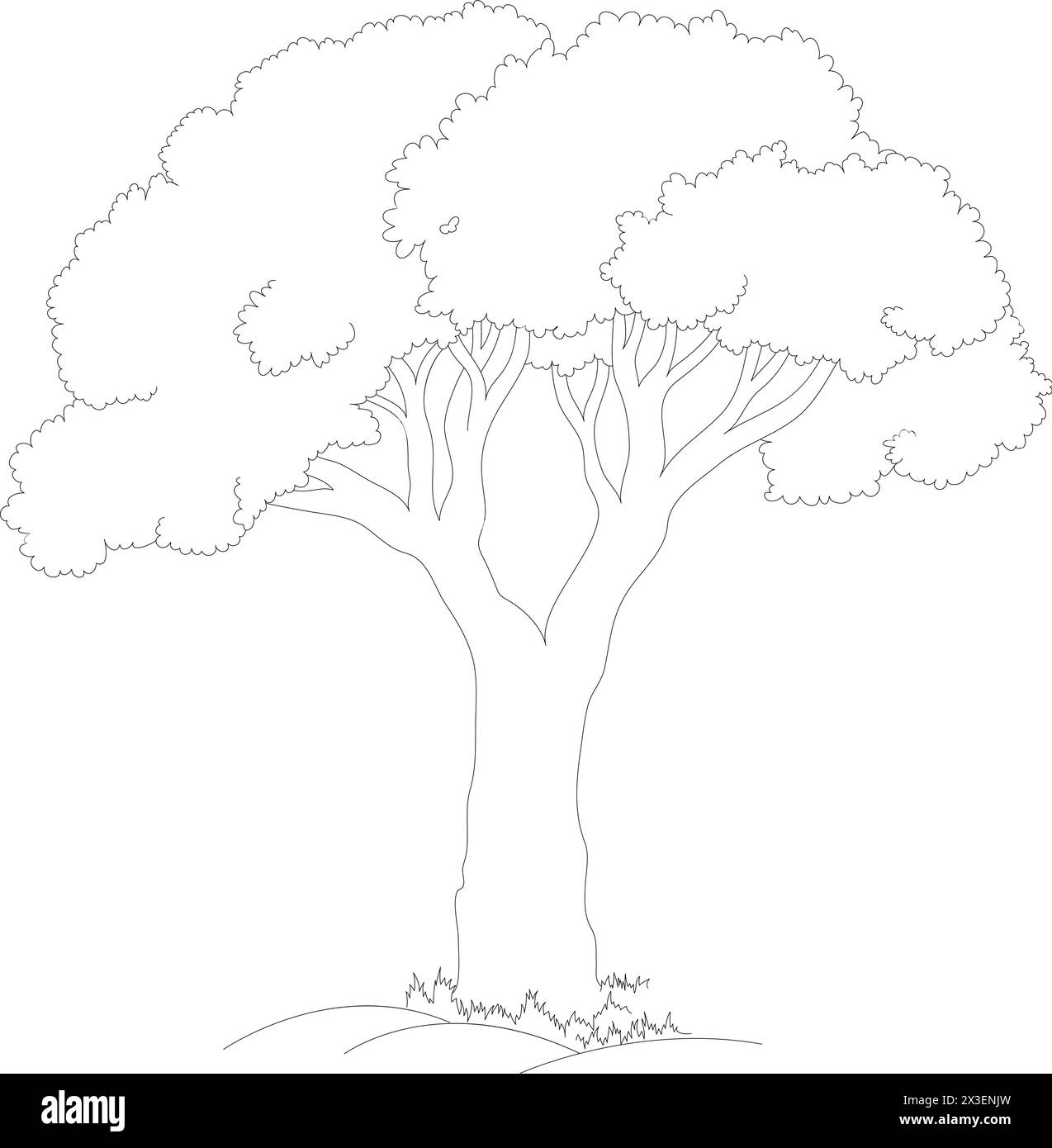 Illustration vectorielle de contour d'arbre Illustration de Vecteur