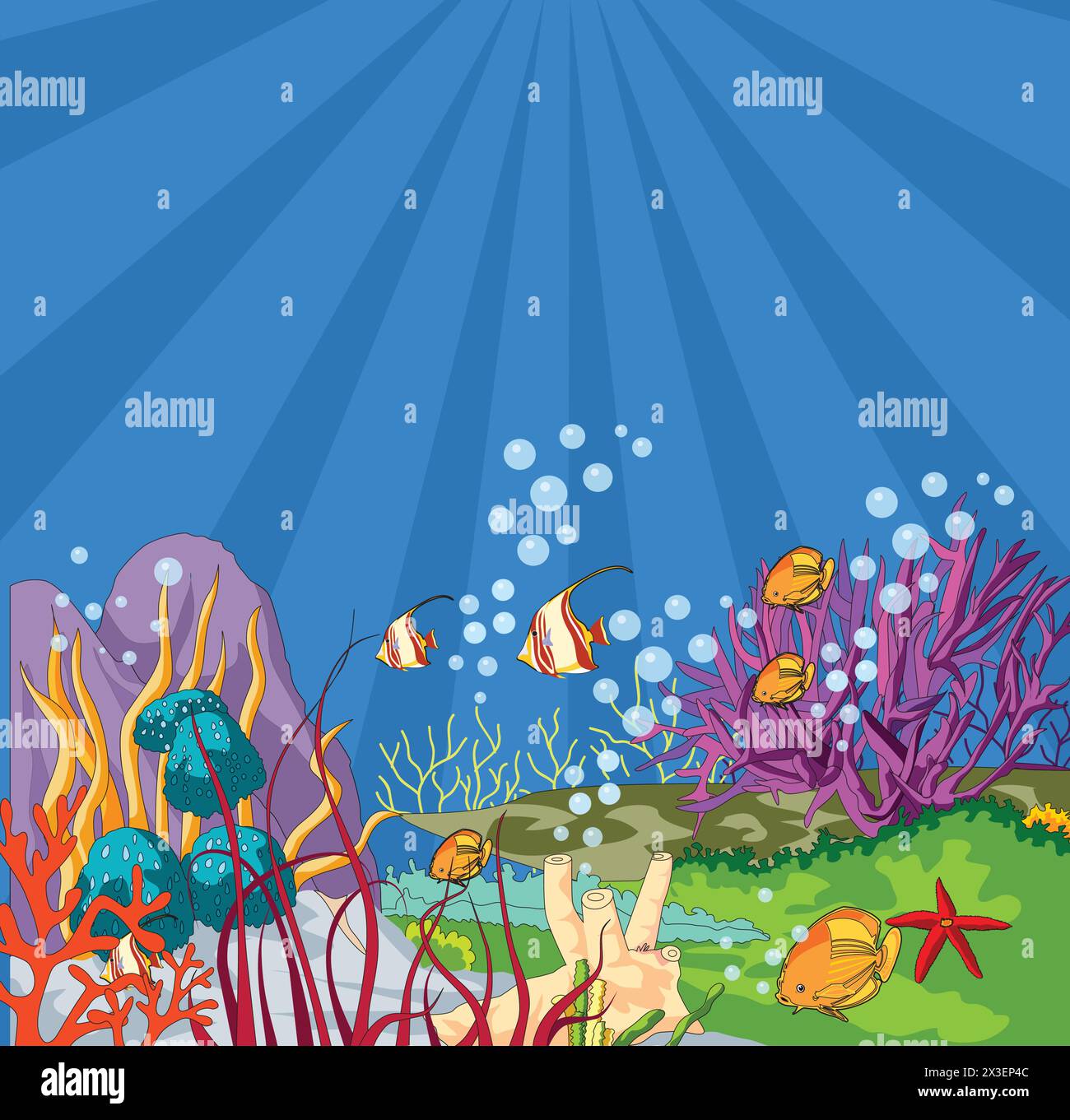 Illustration vectorielle clipart animaux de l'eau Illustration de Vecteur