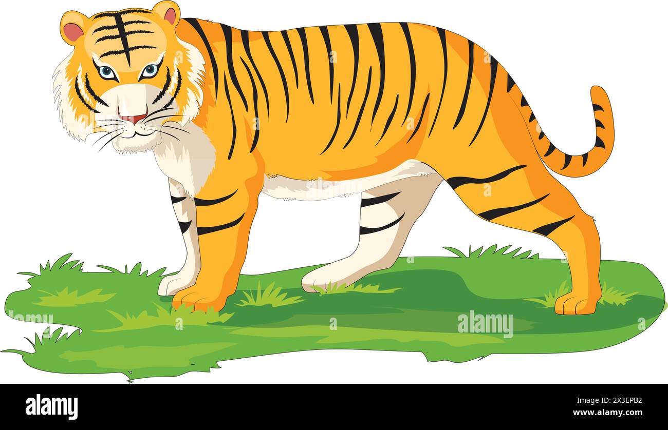 Illustration vectorielle de tigre. Illustration de Vecteur