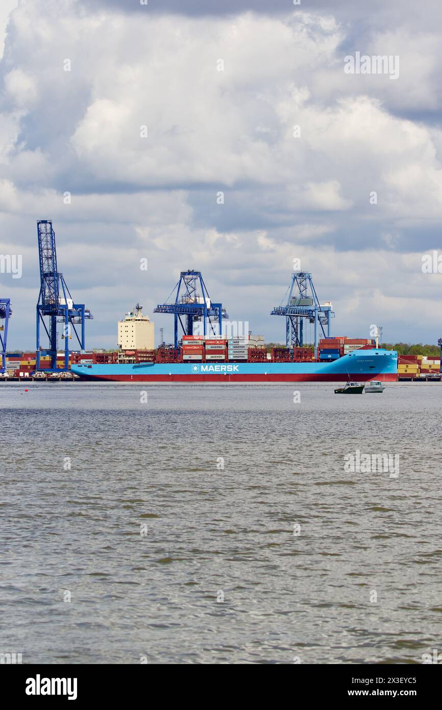 Container Vilnia Maersk navire amarré au port de Felixstowe, Suffolk, Royaume-Uni. Banque D'Images