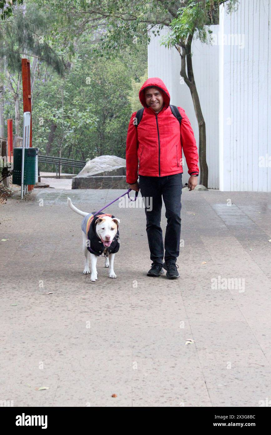 Un homme célibataire divorcé dans les années 40 à la peau foncée Latino se prépare à marcher sous la pluie dans le parc avec son chien de soutien émotionnel Banque D'Images