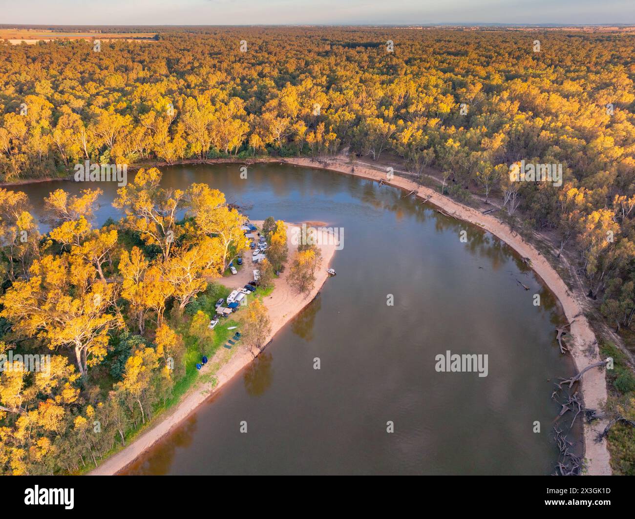 Vue aérienne d'un large coude de rivière bordé d'eucalyptus sous le soleil du matin près de Cobram dans le Victoria, Australie Banque D'Images