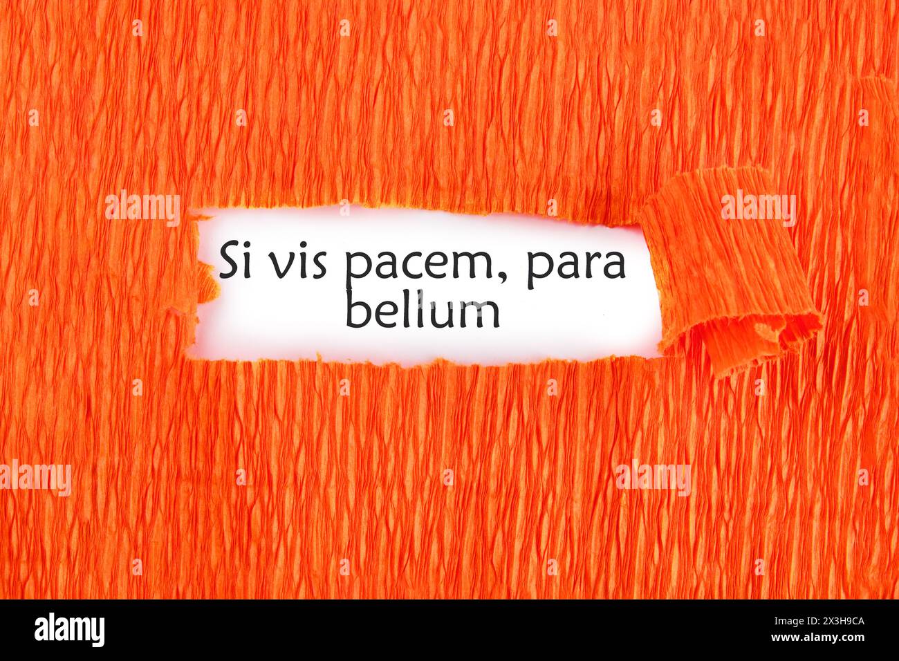 Si vis pacem, para bellum. Phrase latine signifiant si vous voulez la paix, préparez-vous à la guerre. sur une feuille blanche sous un fond orange Banque D'Images