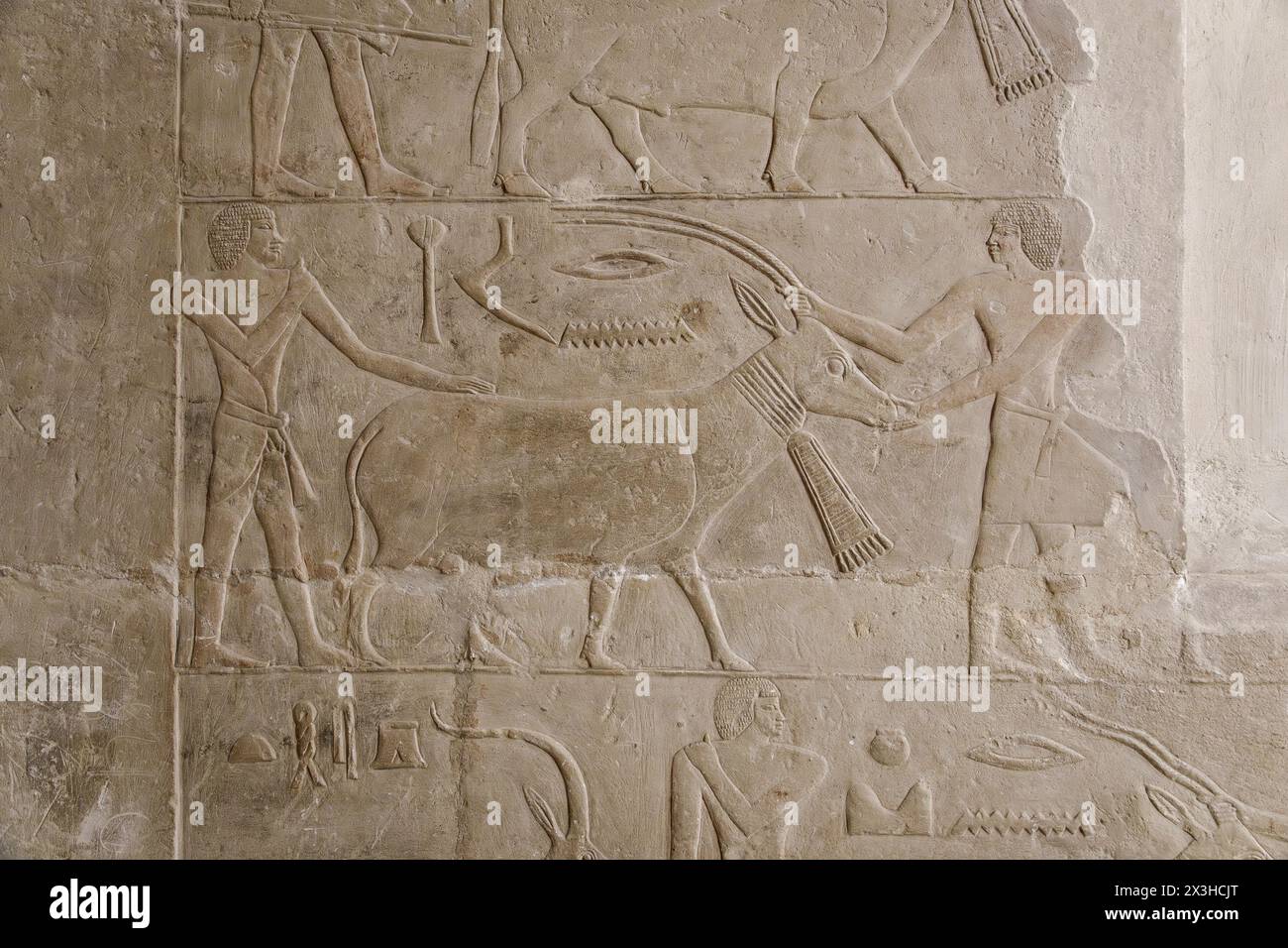 Mastaba Tombeau de Mereruka, Saqqara, Egypte Banque D'Images
