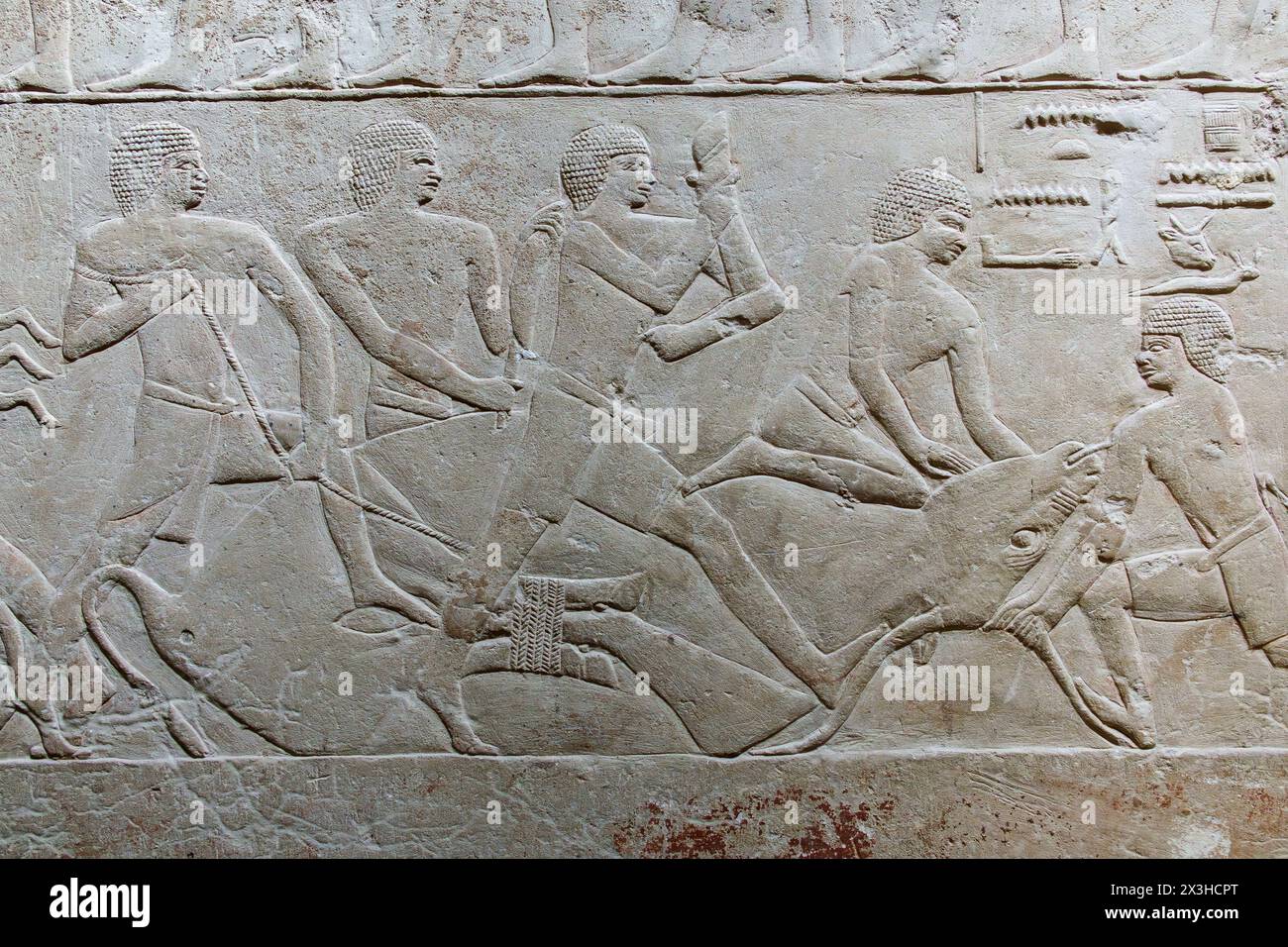 Mastaba Tombeau de Mereruka, Saqqara, Egypte Banque D'Images