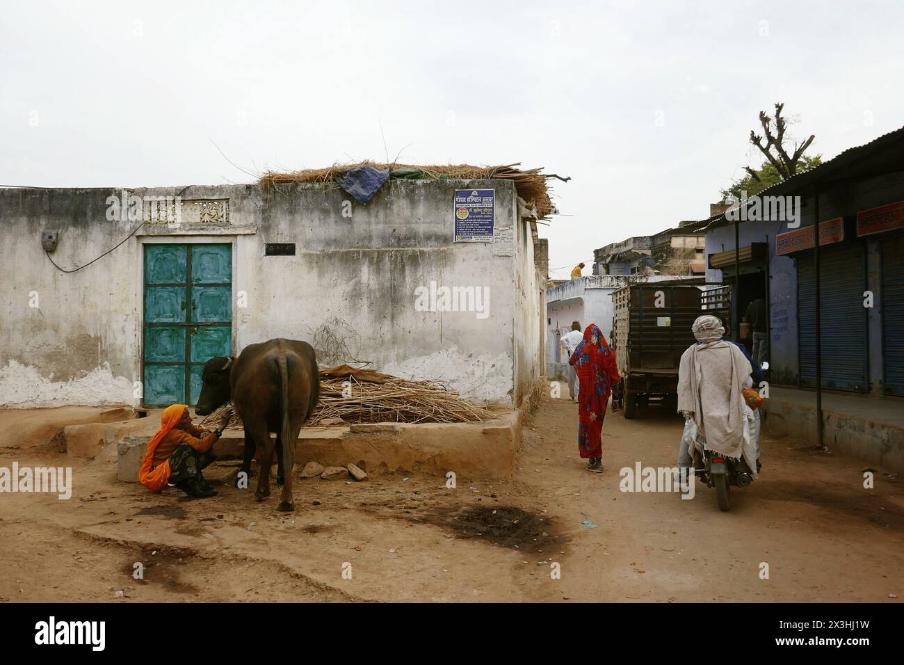 Rajasthan, Inde 02.05.2023. Femme âgée indienne parle à la vache. Une rue typique d'un petit village en Inde est Rajasthan. Immeubles résidentiels en th Banque D'Images
