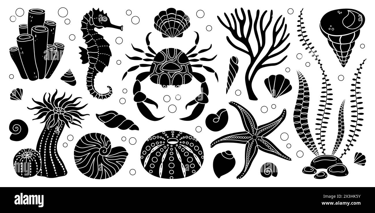 Ensemble silhouette SEA LIFE dessinée à la main. Animaux aquatiques, anémones, crabe, algues, coquillages, étoiles de mer, plantes de récif corallien. Silhouettes d'écosystème sous-marin noir et blanc de style simple. Illustration vectorielle Illustration de Vecteur