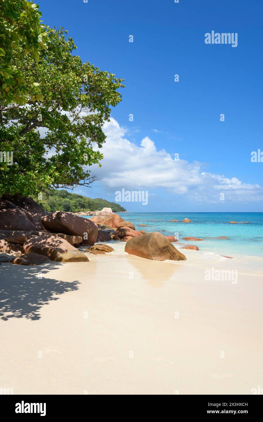 Grands rochers de granit et rochers sur la plage d'Anse Lazio, île de Praslin, Seychelles, Océan Indien Banque D'Images