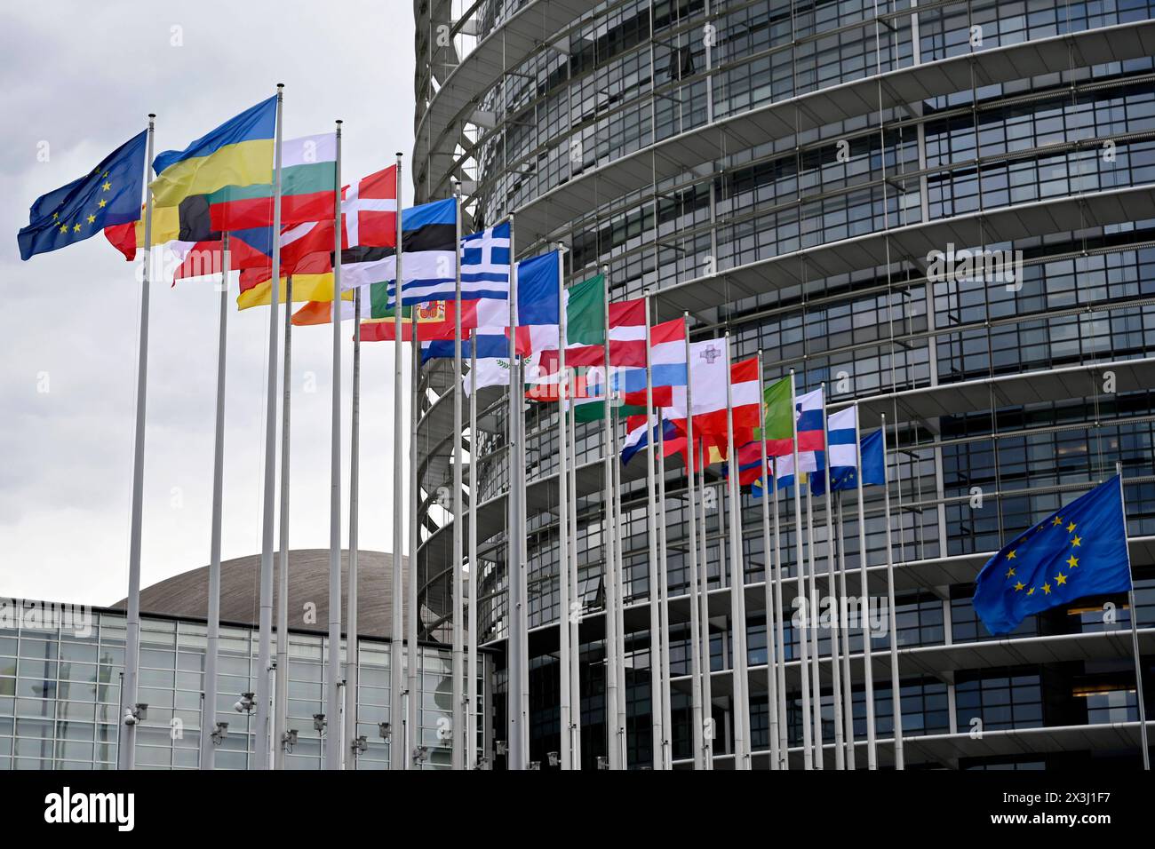 Flaggen der eu-Staaten und der Ukraine sowie die eu-Flagge wehen vor dem eu-Parlament in Straßburg. Straßburg, 25.04.2024 Grand est Frankreich *** les drapeaux des états de l'UE et de l'Ukraine ainsi que le drapeau de l'UE flottent devant le Parlement européen à Strasbourg Strasbourg, 25 04 2024 Grand est France Copyright : xDwixAnoraganingrumx Banque D'Images