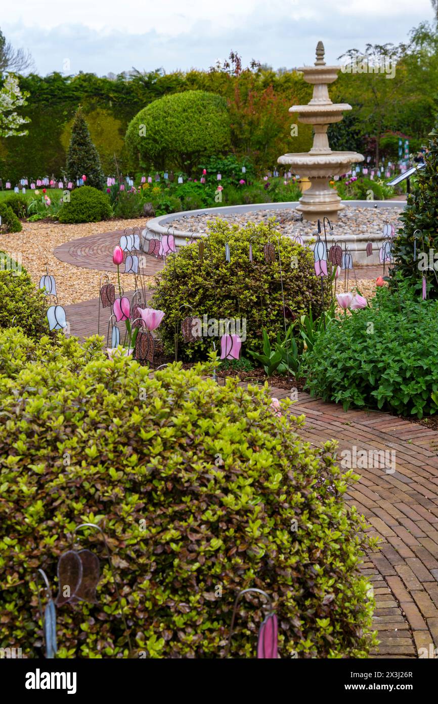 Wimborne, Dorset, Royaume-Uni. 27 avril 2024. Une installation artistique avec une superbe exposition de 1000 fleurs de fritillaria en vitraux artisanaux s'ouvre au public dans le parc de Merley House pour célébrer le 30e anniversaire de Forest Holme Hospice à Poole, fournissant des soins et un soutien essentiels à la communauté locale. Les fleurs d'art commémoratives sont disponibles à l'achat pour livraison ou collecte après la clôture de l'événement le 5 février. Crédit : Carolyn Jenkins/Alamy Live News Banque D'Images