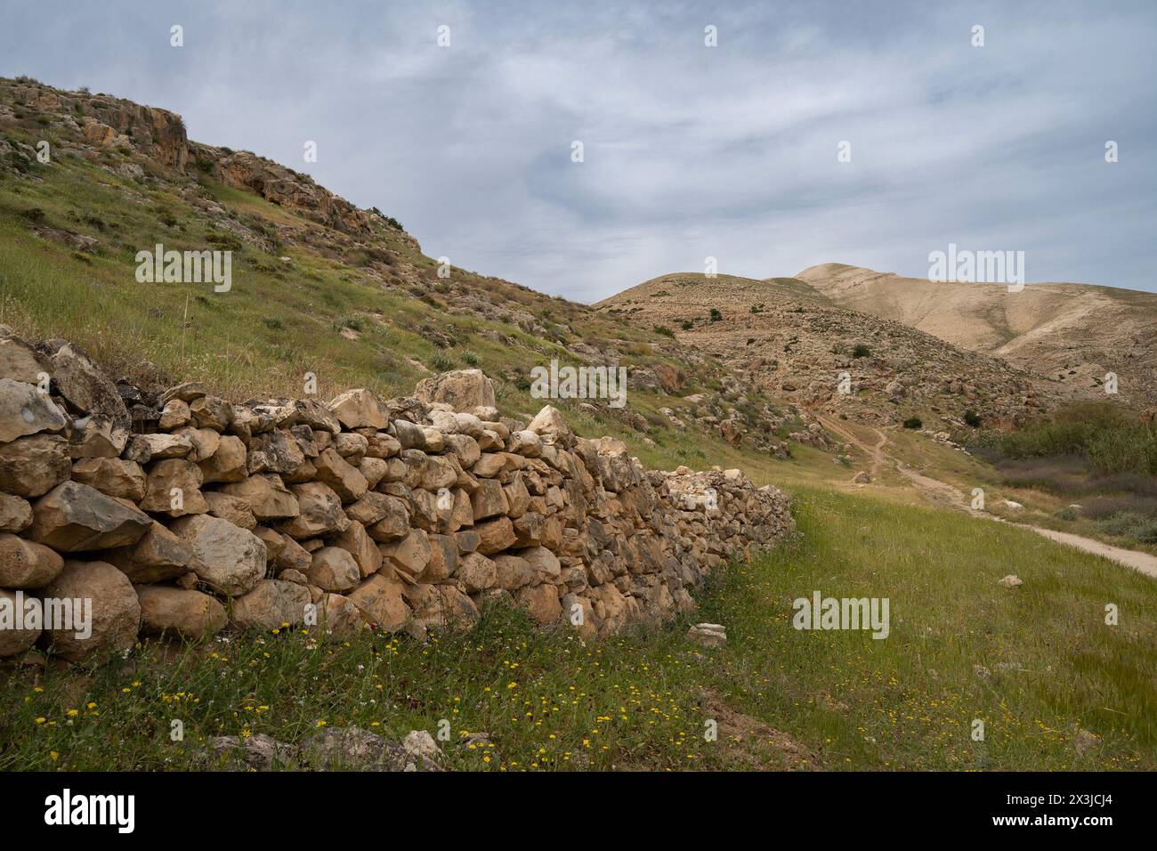 Un ancien mur de pierre et des sentiers dans les collines entourant le ruisseau Prat au printemps. Banque D'Images