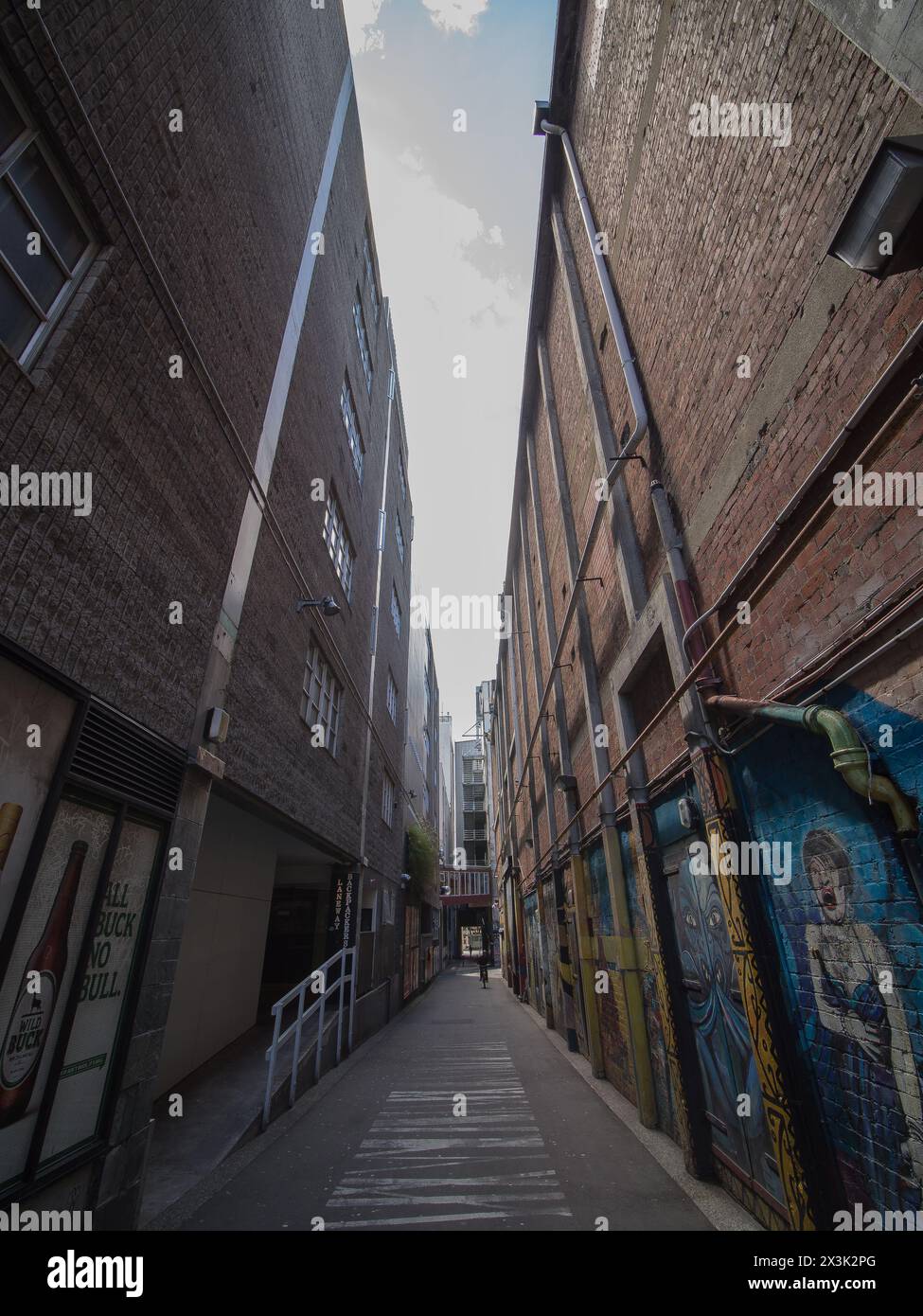 Admirez la vue imprenable sur le paysage urbain de Melbourne depuis les hauteurs. Banque D'Images