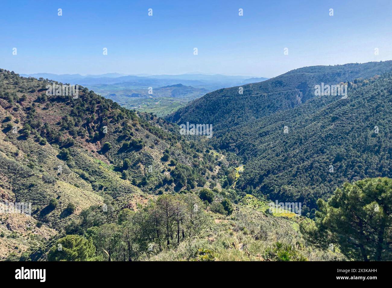 Sentier de randonnée aux cascades sur la rivière Caballos, parc national de la Sierra de la Nieves à Tolox, Malaga, Espagne Banque D'Images