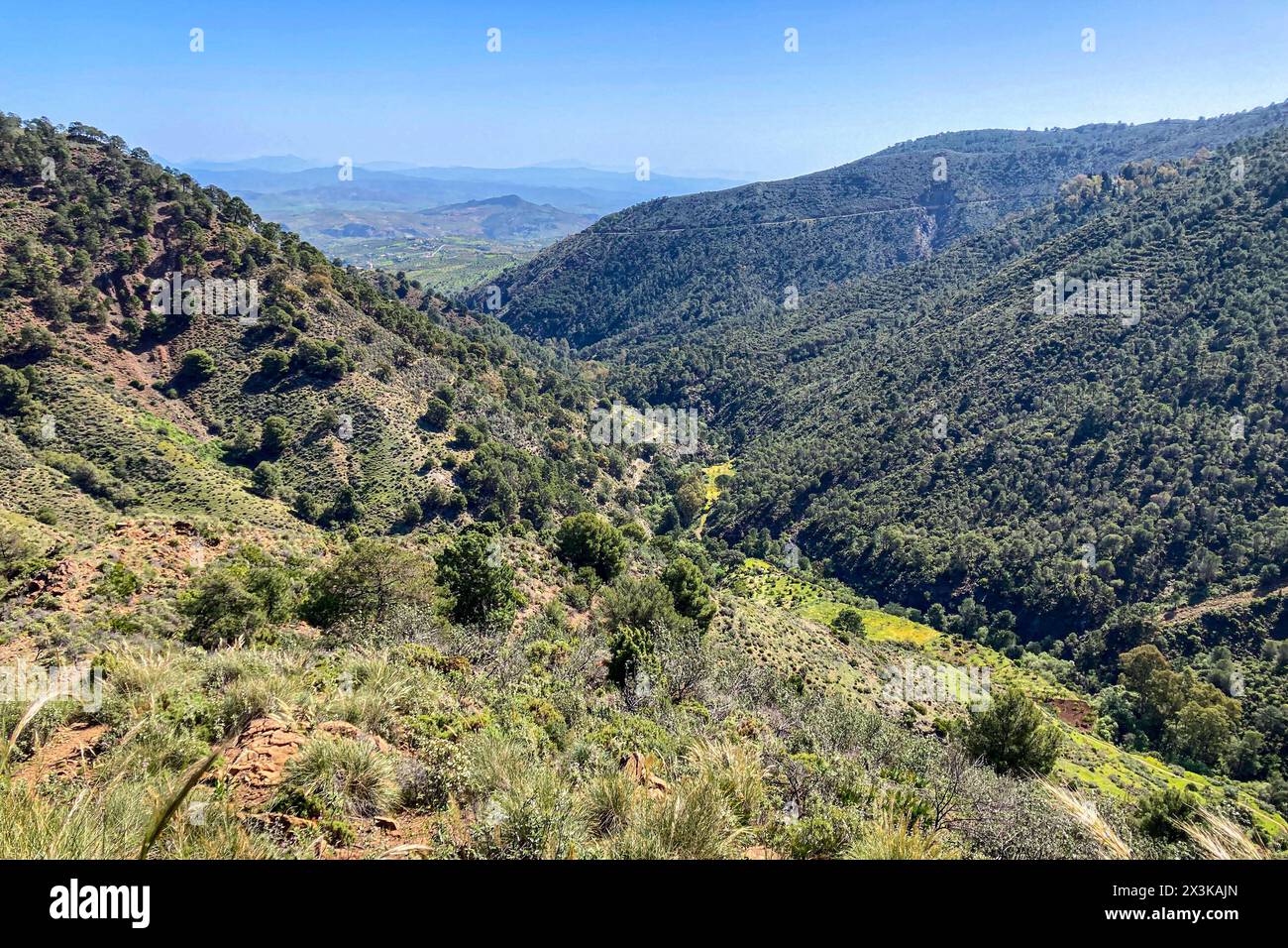 Sentier de randonnée aux cascades sur la rivière Caballos, parc national de la Sierra de la Nieves à Tolox, Malaga, Espagne Banque D'Images