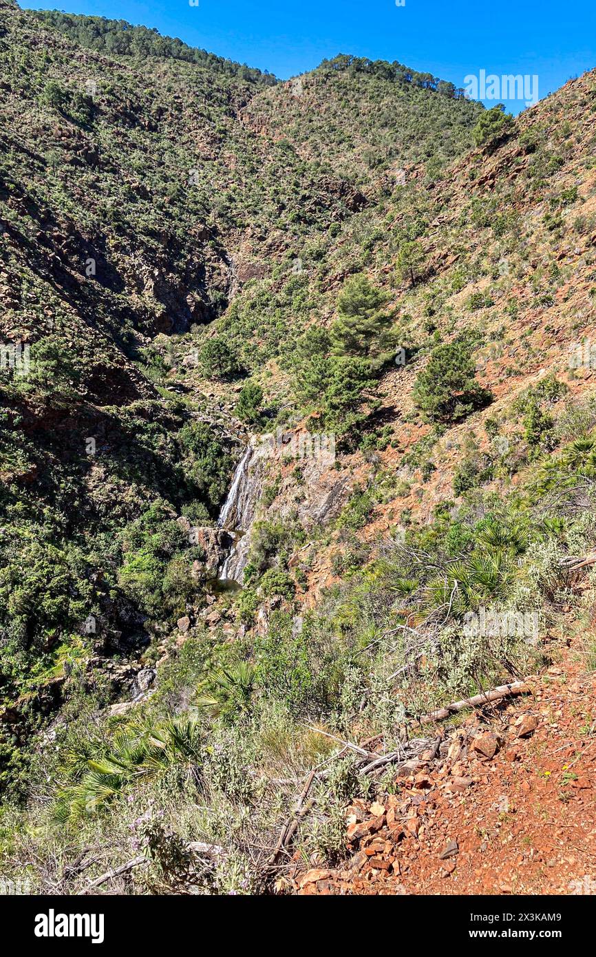 Sentier de randonnée aux cascades sur la rivière Caballos, parc national de la Sierra de la Nieves à Tolox, Malaga, Espagne Banque D'Images