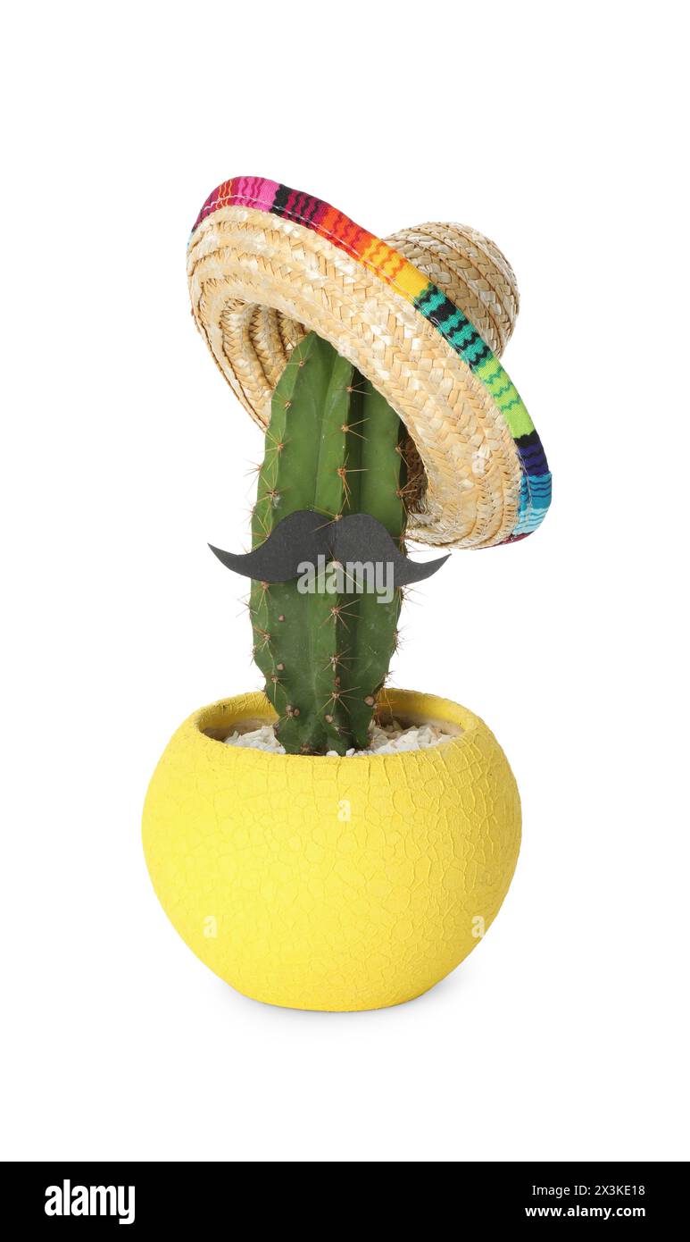 Cactus avec chapeau sombrero mexicain et fausse moustache isolé sur blanc Banque D'Images