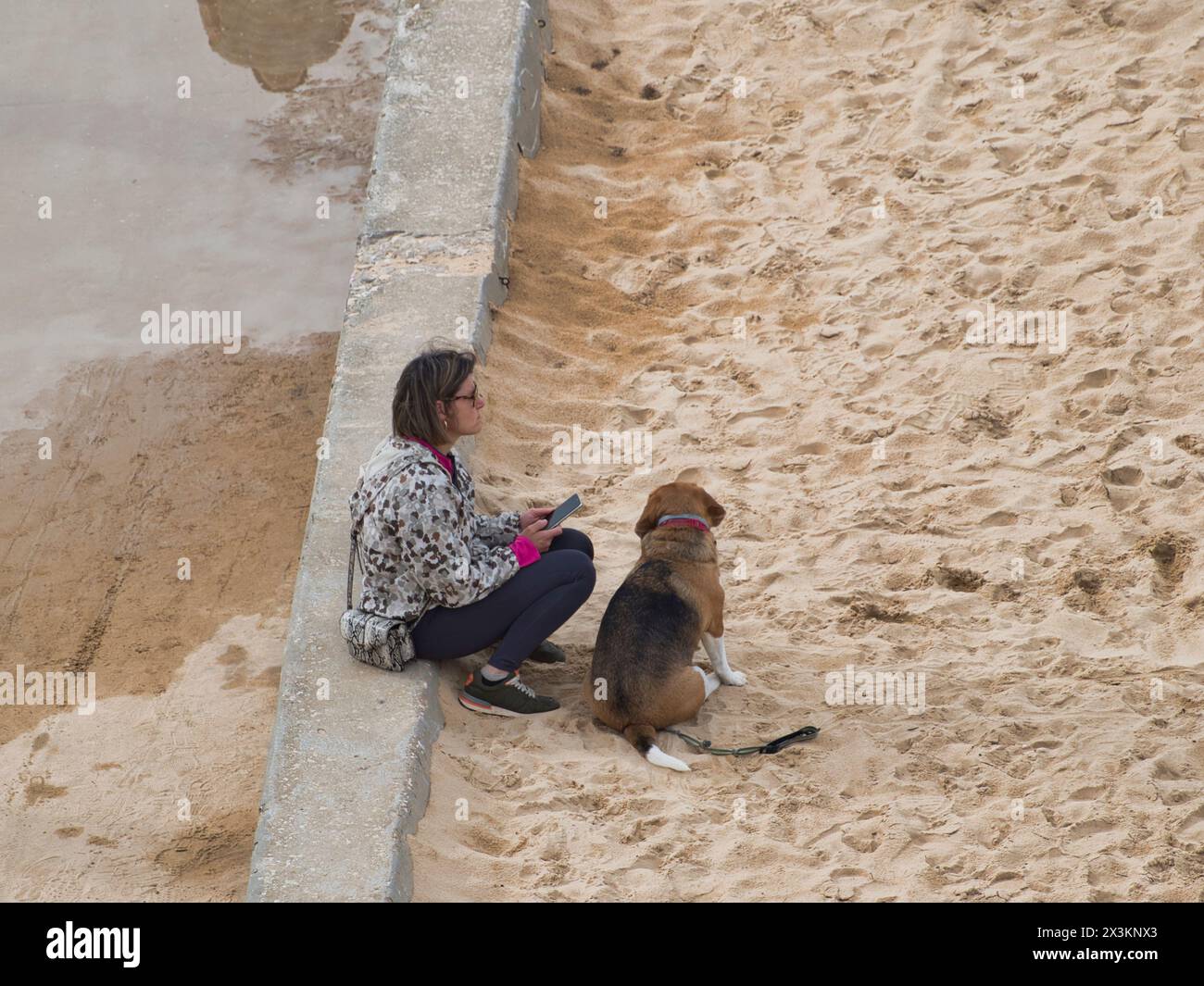 Femme avec smartphone et son chien profitant d'un moment paisible Banque D'Images