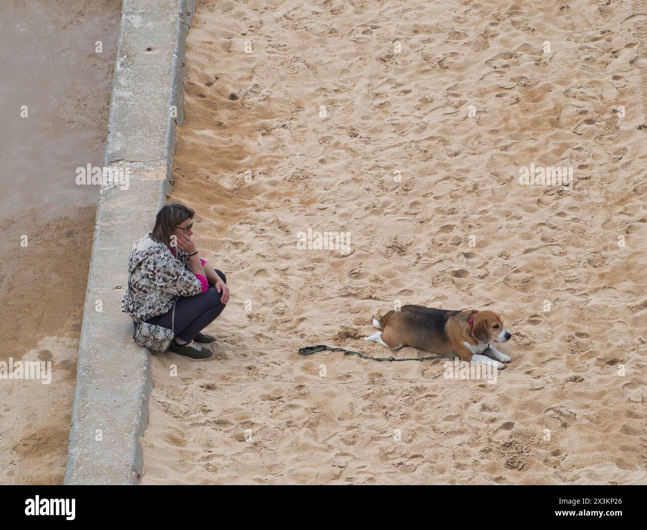 Femme et son chien appréciant un moment paisible Banque D'Images
