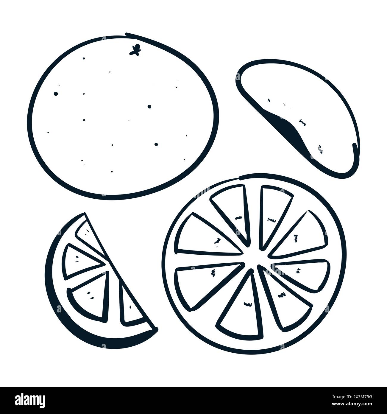 Orange fruit Drawing Set vecteur Orange Scribbles icônes Doodle. Vecteur orange Illustration de Vecteur