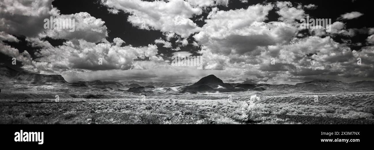 Un panorama noir et blanc très contrasté d'une colline lointaine et d'un seul arbre dans le désert près d'Albuquerque, NM. Beaucoup de taches claires et sombres. Moelleux Banque D'Images