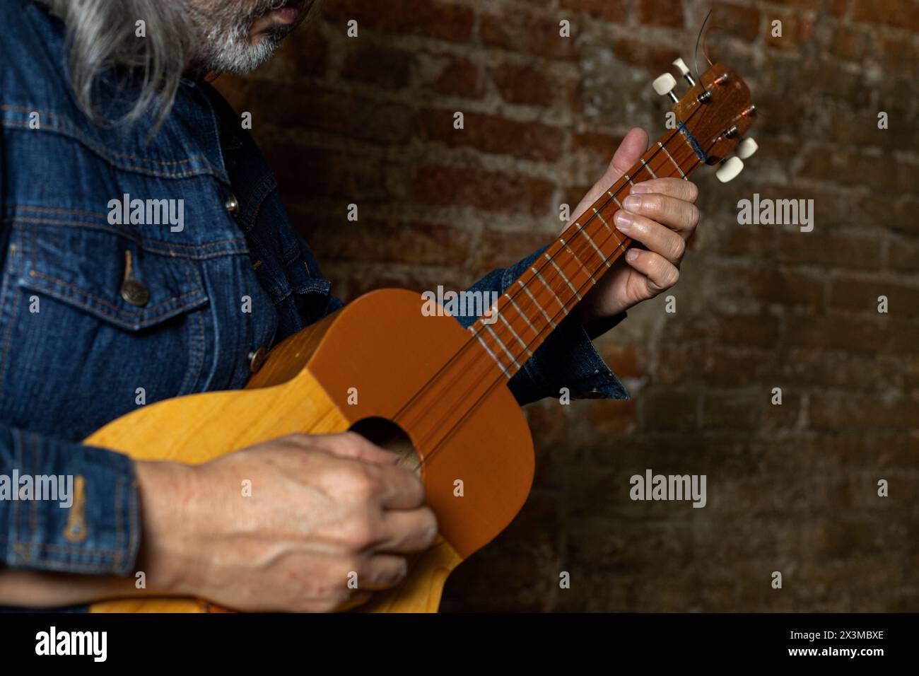 Homme adulte avec de longs cheveux gris jouant un «cuatro», un concept d'instrument typique vénézuélien de musique et d'instruments typiques. Banque D'Images