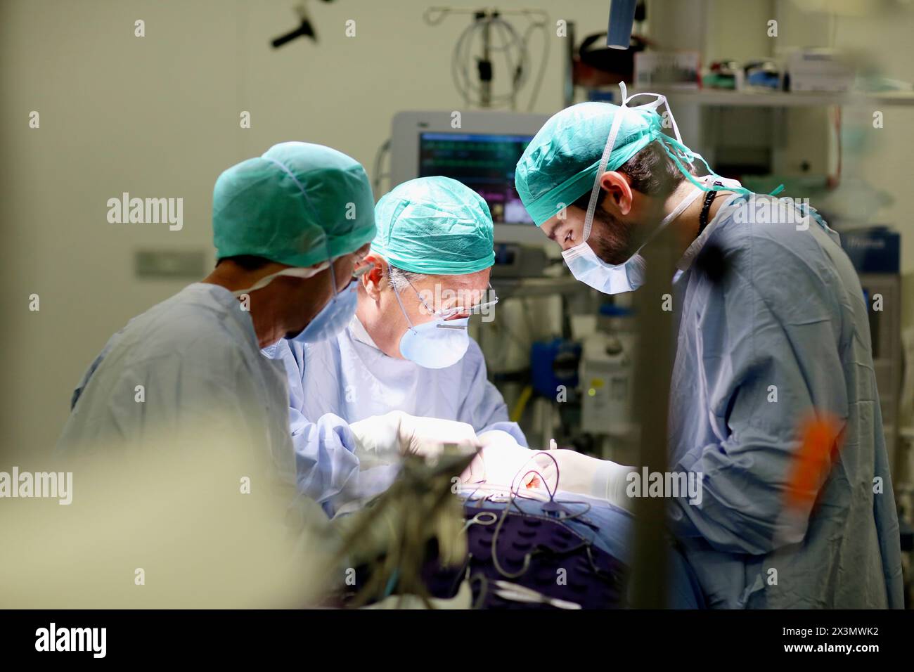 Chirurgien, chirurgie, salle d'opération, Hôpital Onkologikoa, Institut d'oncologie, centre de cas pour la prévention, le diagnostic et le traitement du cancer, Donostia, S. Banque D'Images