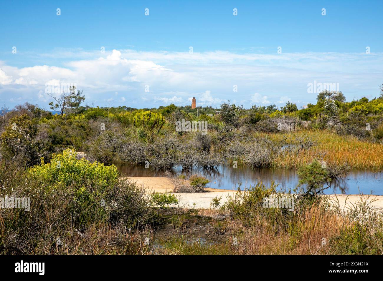 Old Quarry Swamp sur North Head Manly, situé près du belvédère Shelly Beach sur le sentier de randonnée North Head Road, Sydney, Nouvelle-Galles du Sud, Australie Banque D'Images