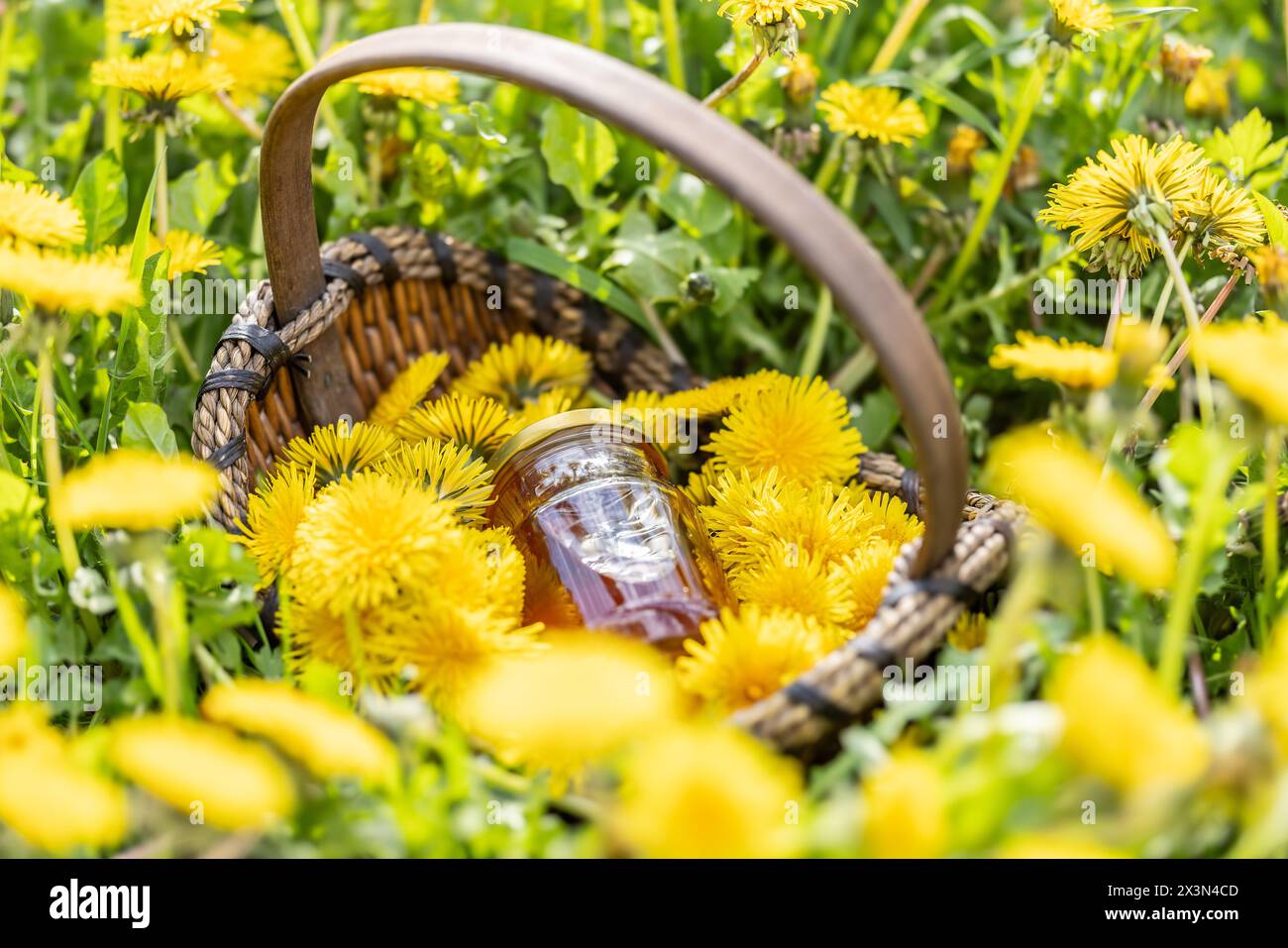 Pissenlit fleurit dans un panier en osier avec un pot de miel placé sur le sol quelque part dans un pré. Banque D'Images