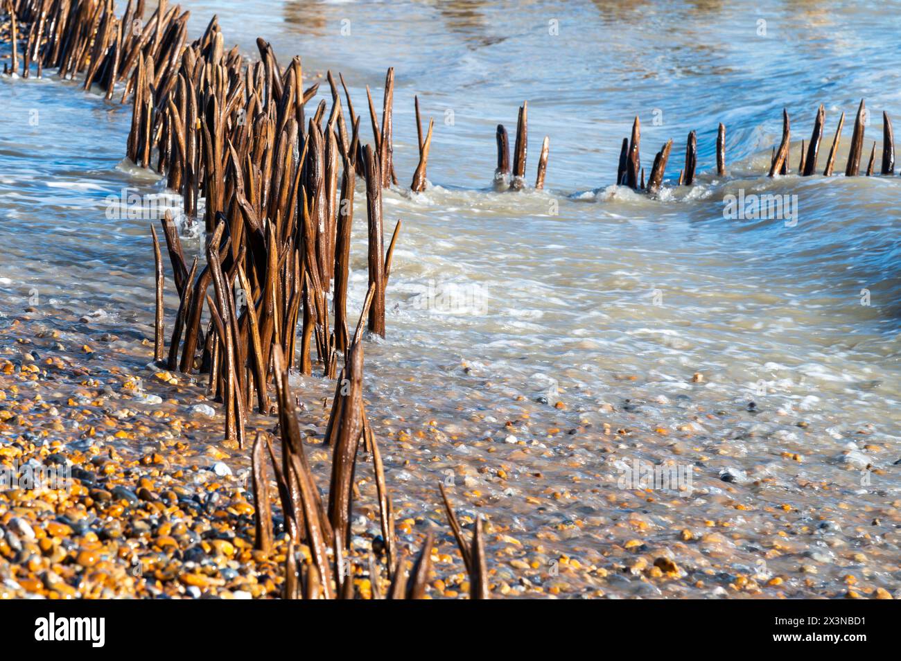 Défenses marines érodées et groynes dans le bardeau de la réserve naturelle de Rye Harbour, East Sussex, Angleterre sous le soleil d'hiver. Banque D'Images